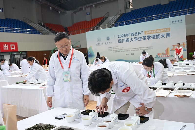 beat365教师应邀担任2025年四川省大学生茶学技能大赛裁判长